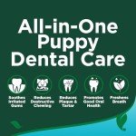 Puppy Dental Kit: Brush, Paste & Fresh Breath