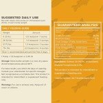 Salmon Oil for Dogs - Skin & Coat Support