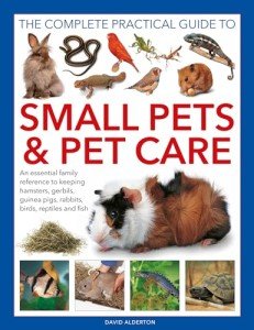 Easy Guide to Caring for Small Pets