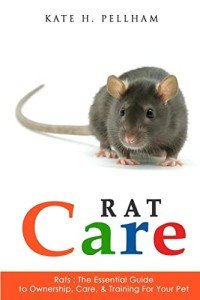 Pet Rat Care and Training Guide Under $10