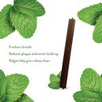 Shameless Pets Dental Treats for Healthy Teeth