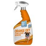 Pet Stain and Odor Remover Spray, 32 oz