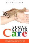 Sugar Glider Care: Your Essential Ownership Guide