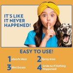 Pet Stain and Odor Remover Spray, 32 oz