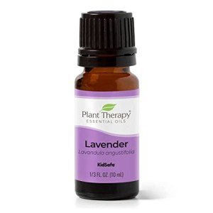 Lavender Essential Oil 100% Pure - 10 mL
