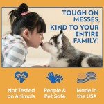 Pet Stain and Odor Remover Spray, 32 oz