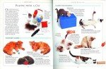 Essential Cat Care Guide for Happy Felines