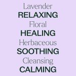 Lavender Essential Oil 100% Pure - 10 mL