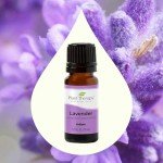 Lavender Essential Oil 100% Pure - 10 mL