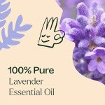 Lavender Essential Oil 100% Pure - 10 mL