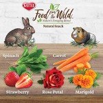 Kaytee Wild Snack for Rabbits and Small Pets
