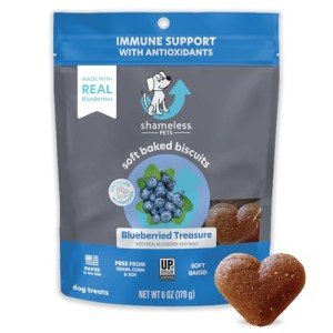 Blueberried Treasure: Soft-Baked Dog Treats
