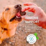 Blueberried Treasure: Soft-Baked Dog Treats