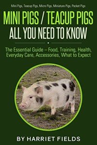 Ultimate Guide to Mini Pigs Under $10