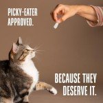 Freeze-Dried Chicken Cat Treats - 1 oz