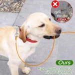 2 Pack Chew-Proof Heavy Duty Dog Leash Extenders