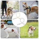 2 Pack Chew-Proof Heavy Duty Dog Leash Extenders