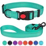 Reflective Dog Collar and Leash Set, Mint Green