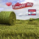 Timothy Hay Blend Cubes for Small Pets