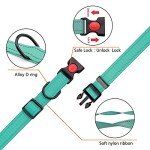 Reflective Dog Collar and Leash Set, Mint Green