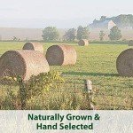 Timothy Hay Blend Cubes for Small Pets