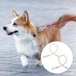 2 Pack Chew-Proof Heavy Duty Dog Leash Extenders