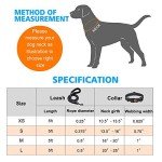 Durable Dog Leash with Padded Handle, 5 ft