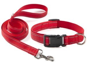 Reflective Nylon Dog Collar and Leash Set