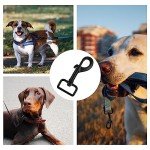 Heavy Duty Swivel Snap Hooks for Dog Leashes