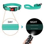Reflective Dog Collar and Leash Set, Mint Green
