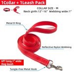 Reflective Nylon Dog Collar and Leash Set