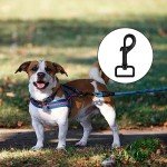 Heavy Duty Swivel Snap Hooks for Dog Leashes