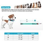 Reflective Dog Collar and Leash Set, Mint Green