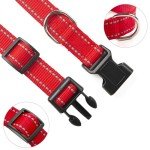 Reflective Nylon Dog Collar and Leash Set