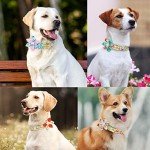 Floral Pattern Dog Collar with Personalized Buckle