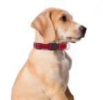 Reflective Nylon Dog Collar and Leash Set