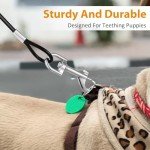 Chew Proof Heavy Duty Dog Leash under $10