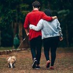 Voopet Chew-Proof Leash Extension for Dogs