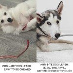 Voopet Chew-Proof Leash Extension for Dogs