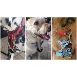 Waterproof Dog Collar Safety Clips - 2 Pack