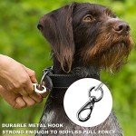 Voopet Chew-Proof Leash Extension for Dogs