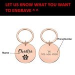 Personalized Engraved Pet ID Tags - Under $10