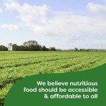 Knorr Parmesan Pasta Sides - Quick & Tasty