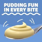 Jell-O Instant Cheesecake Pudding & Pie Mix 3.4 oz