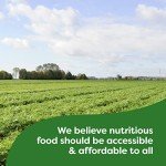 Knorr Chicken Fettuccine Pasta Sides - 4.3 oz