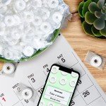 Wint-O-Green Hard Candy Mints, 13 oz Bag