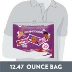 Valentine's Assorted Chocolate Snack Bag - 25 Pieces