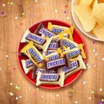 Fun Size SNICKERS Variety Pack - 24.02 Oz