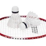 Franklin Sports Badminton Racket and Birdie Set