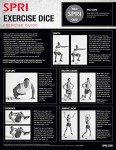 SPRI Fitness Dice Game for Fun Workouts